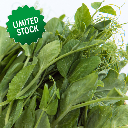 Pea Shoots (bunch) - Green Connect Farm