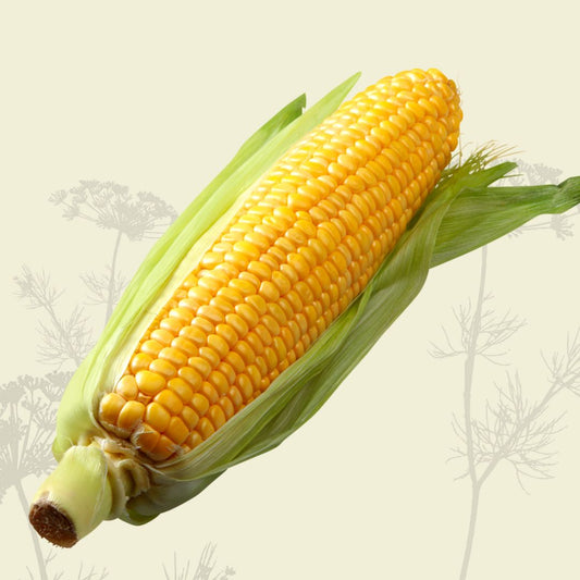 Sweet Corn (2) - Certified Organic