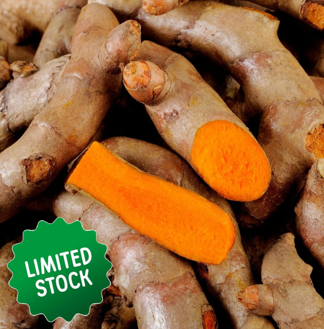 Turmeric (80-90g) - Certified Organic