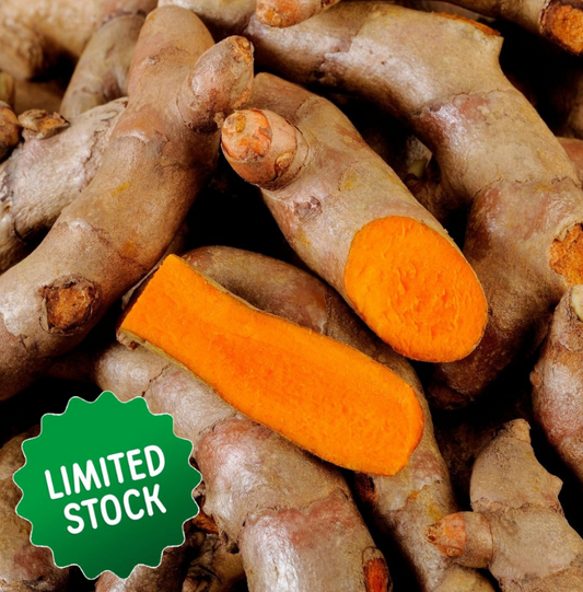 Turmeric (80-90g) - Certified Organic