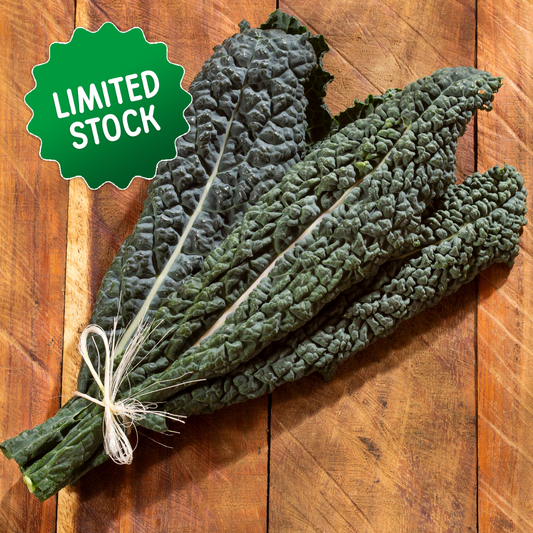 Kale: Tuscan (bunch) - Green Connect Farm