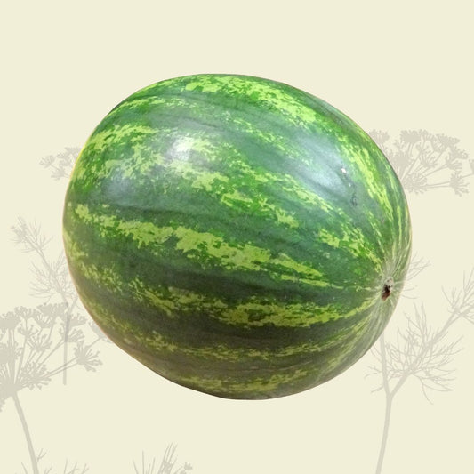 Mini Watermelon (1) - Certified Organic