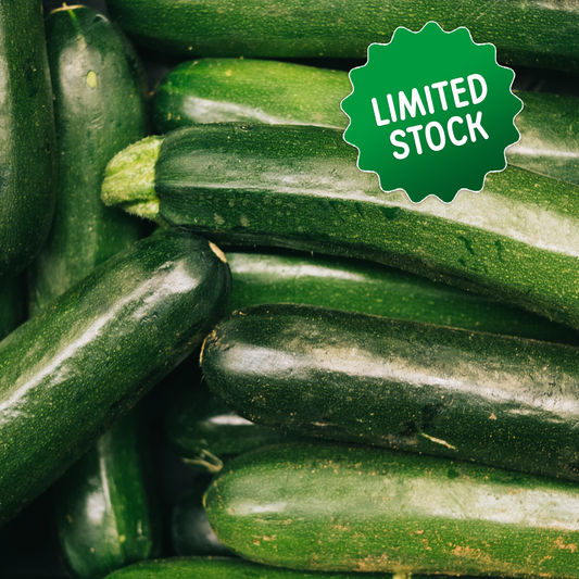 Zucchini (1-2) - Green Connect Farm