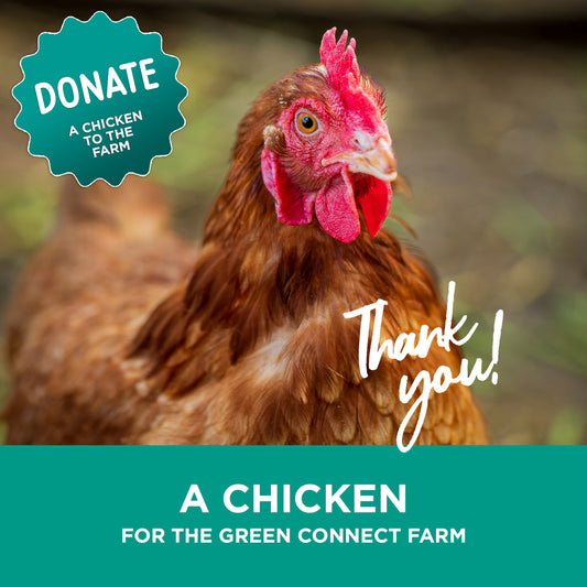 Donate a chicken for the Green Connect farm